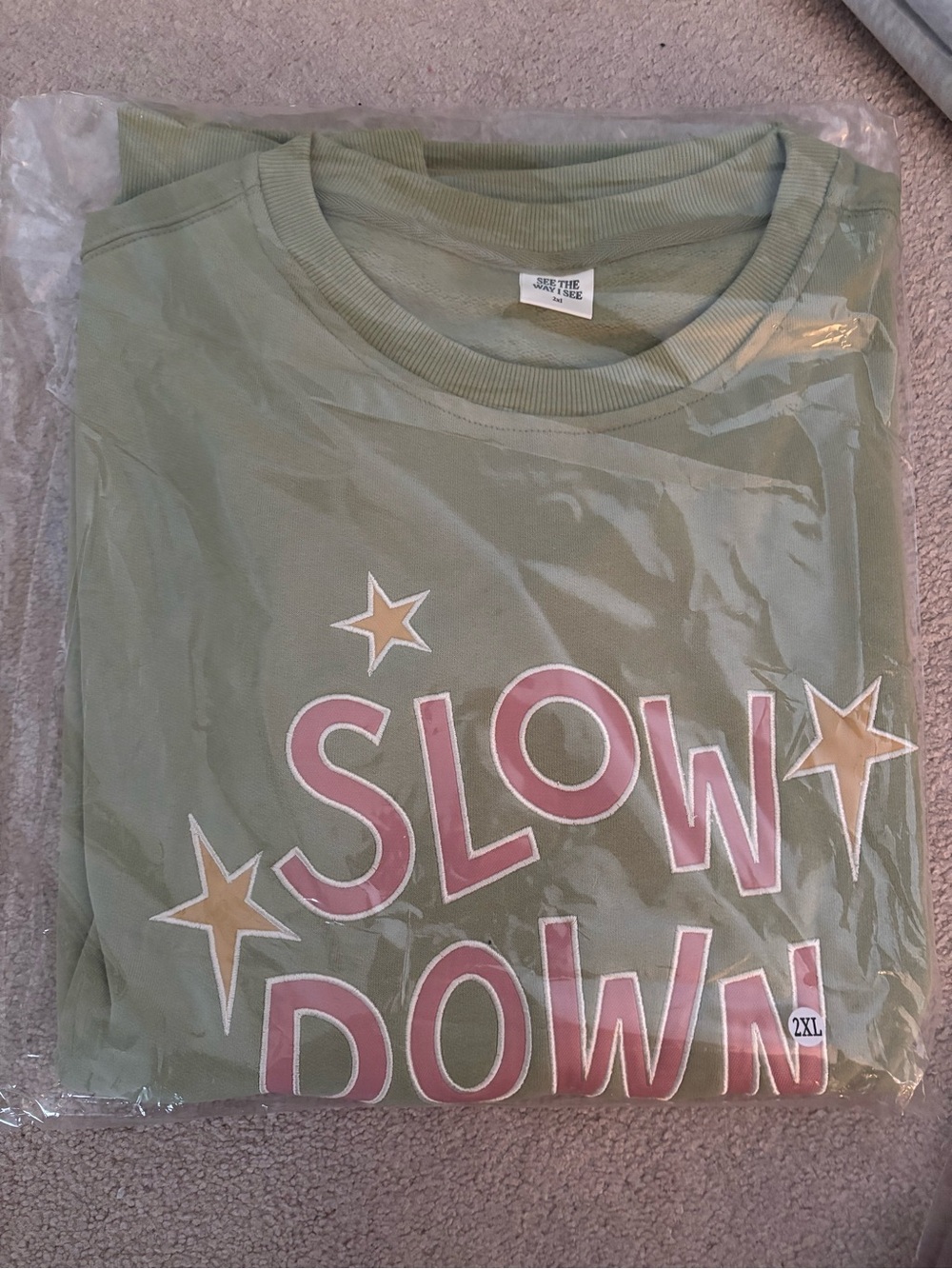 BRAND NEW Matcha Green "Slow Down" Sweatshirt with Pink Lettering